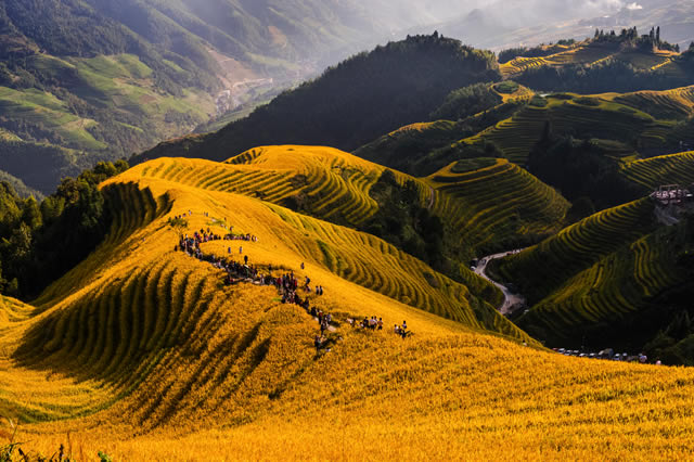 十大广西清明节去哪旅游好