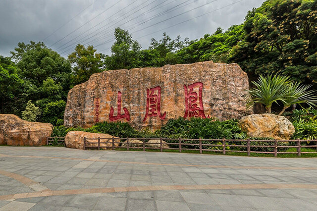 排行前十深圳十个面积最大的公园