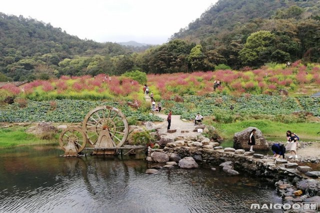 十大广州冬天旅游好去处