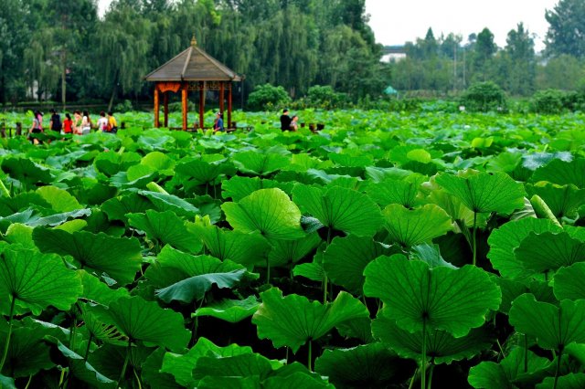 人气榜单前十芜湖冬季游玩景点