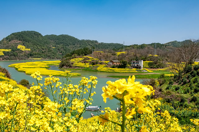 安徽中老年人玩的10个地方2022最新排行榜单公示