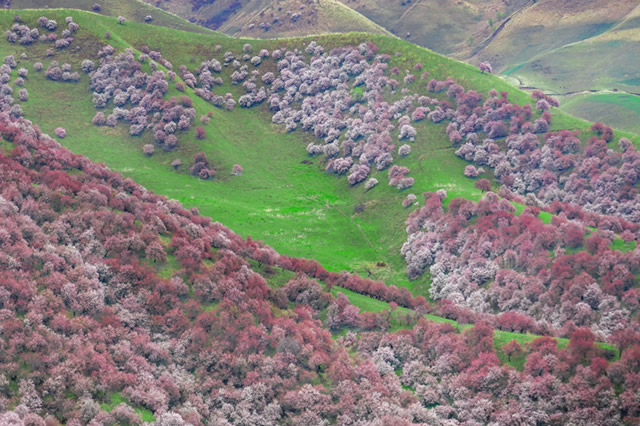 排行前十福建清明节适合去哪里玩