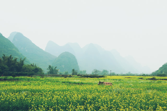 排行前十广西毕业旅行十大景点推荐