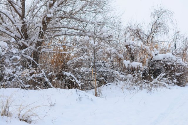 十大山东最美雪景排行