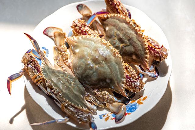 最奇特的七种螃蟹评价高的都有哪些