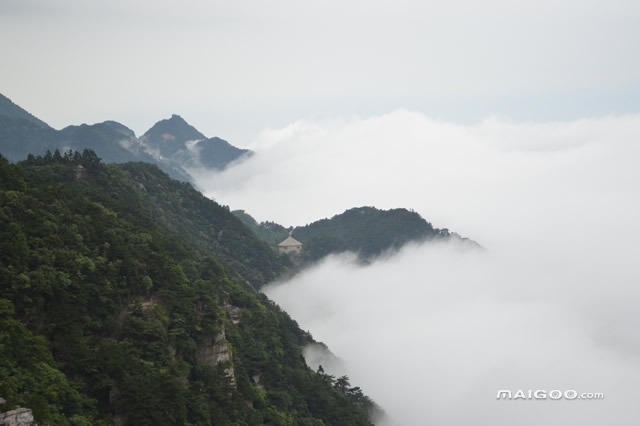 中國十大最美云海盤點 上榜,第一是泰山云海
