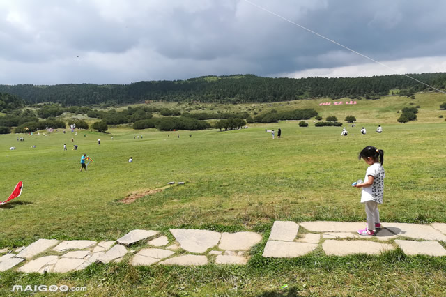 前10重庆暑假去哪里旅游好玩