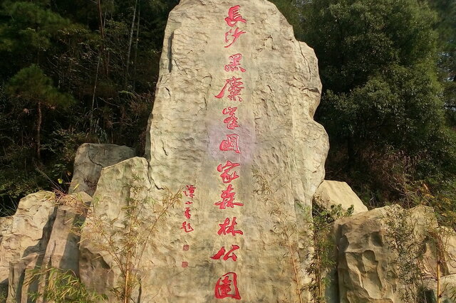 赏花踏青骑行的好处推荐上榜的有： 湖南省森林植物园橘子洲湖南大围山国家森林公园