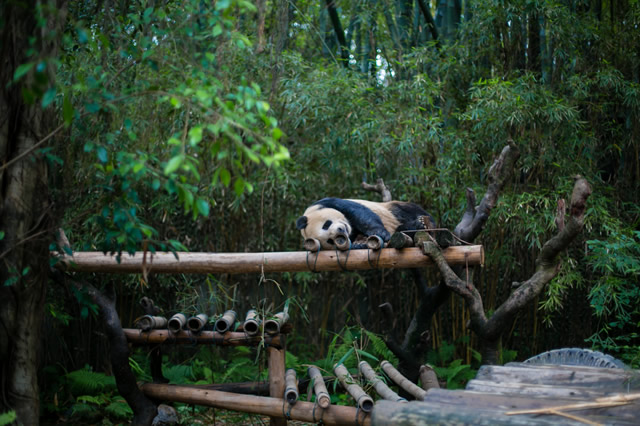 排行前十广州十大热门景点