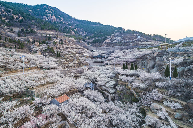 十大山东清明节去哪里玩