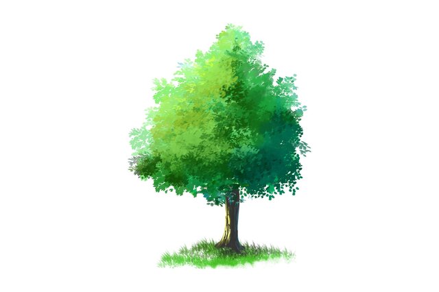 排行前十最畅销的绿化树种盘点