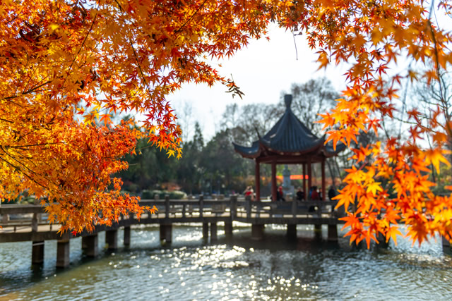 人气榜单前十合肥夏天旅游去哪里好