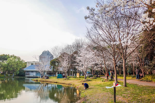 排行前十上海团建去哪里玩