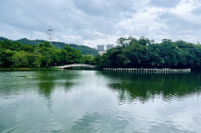 前10深圳哪个公园最美