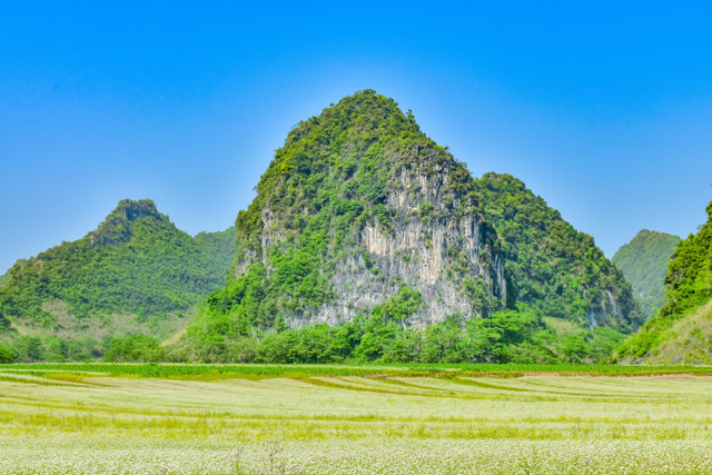 前10西安秋季旅游好去处