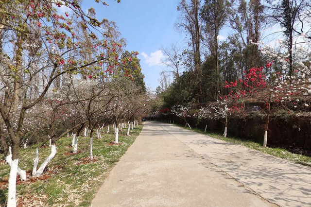 十大广西清明节去哪旅游好