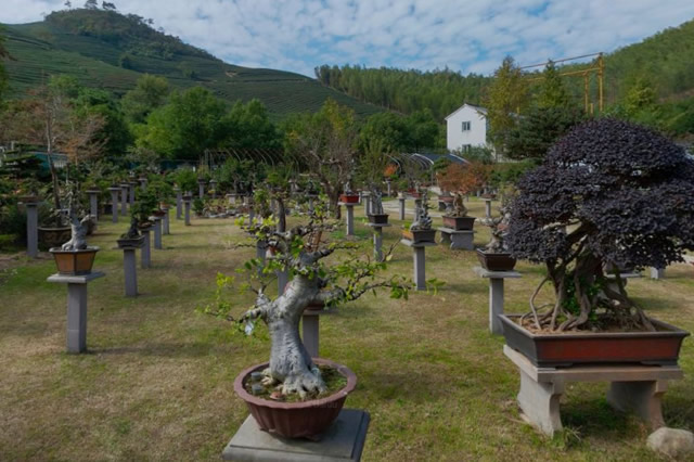 排行前十宁波春季去哪踏青赏花好