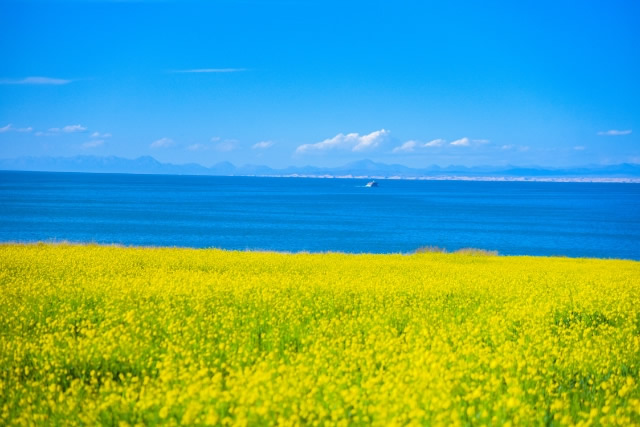 前10中山野外烧烤哪里好