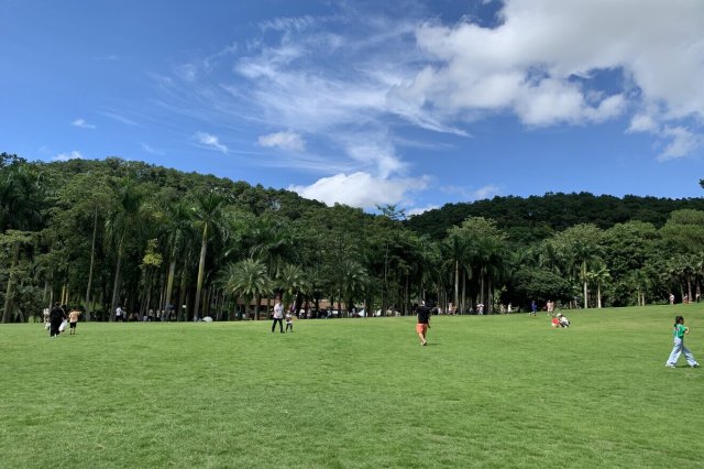 广西可以登山的地方 金秀县圣堂山景区上榜,第一是青秀山