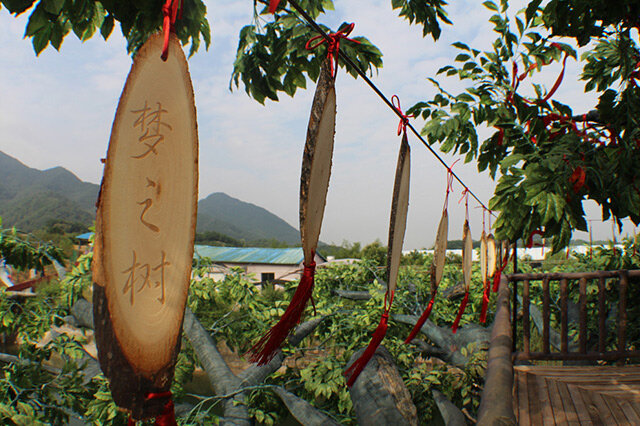 前10金华夏季旅游去哪里好