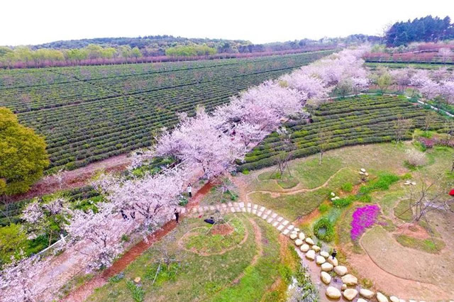 排行前十南昌十大秋季旅游景点