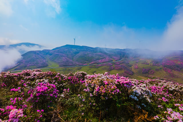 前10贵州元旦节去哪里旅游好