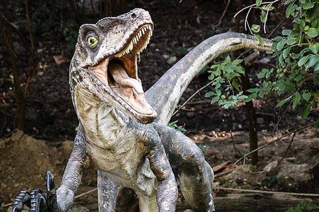 世界10大最著名恐龙盘点上榜的有： 剑龙速龙秀颌龙