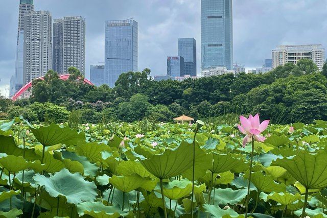 排行前十重庆端午节旅游去哪里好