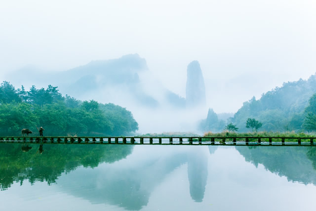 前10丽水春季踏青赏花的地方