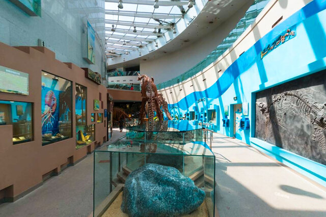排行前十安徽十大最出名的博物馆
