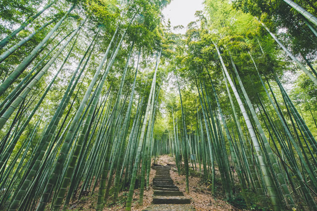 排行前十黔西南著名旅游景点排名