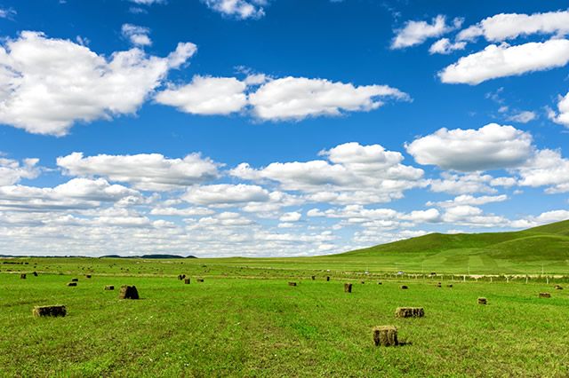 内蒙古十大草原排行榜 科尔沁草原上榜,第一是呼伦贝尔草原