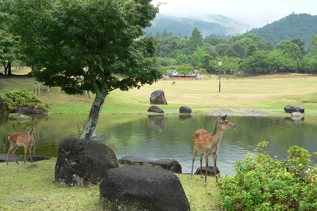 排行前十日本最有名的旅游景点