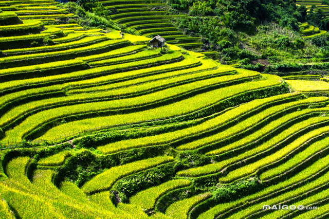 排行前十广西毕业旅行十大景点推荐