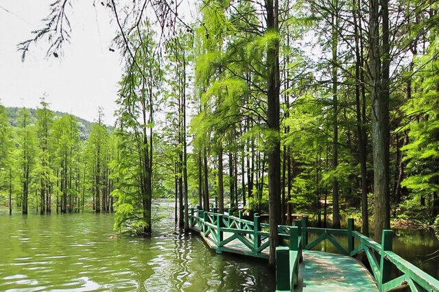 武汉十大公司旅游好去处推荐 咸宁温泉谷度假区上榜,第一是东湖