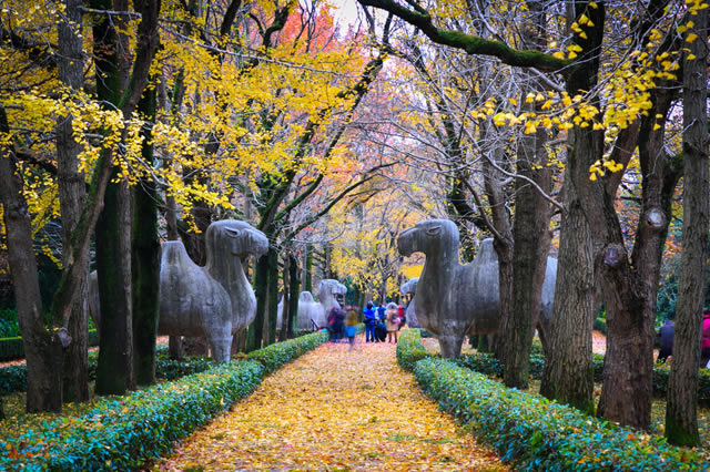 排行前十南京赏秋的好地方有哪些