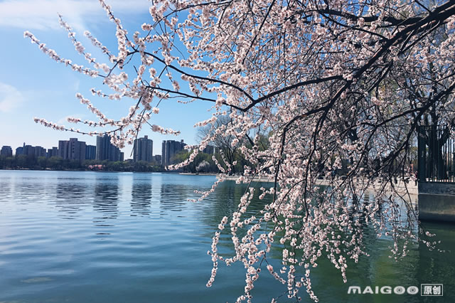 人气榜单前十北京清明节哪里踏青好