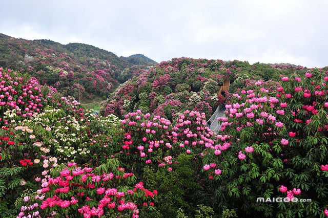 前104月份适合去哪旅游