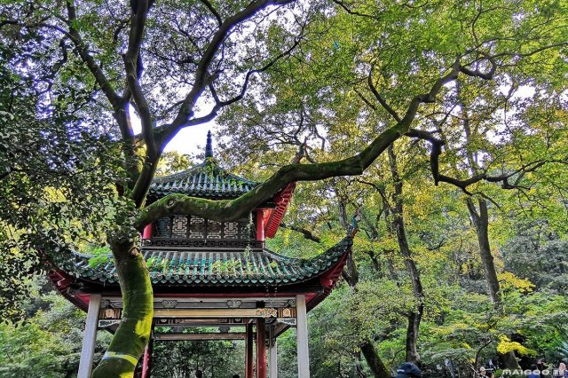赏花踏青骑行的好处推荐上榜的有： 湖南省森林植物园橘子洲湖南大围山国家森林公园