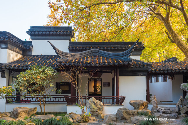 南京秋天最美的地方 钟山风景名胜区上榜,第一是栖霞山