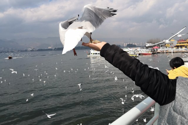 人气榜单前十昆明中秋节去哪里旅游好玩