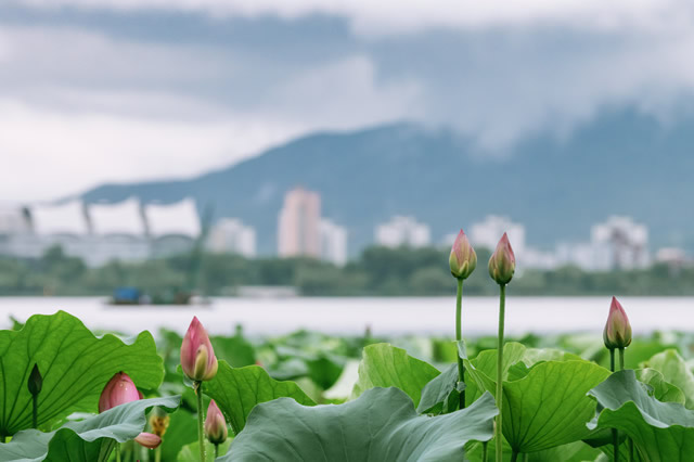 人气榜单前十南京七夕去哪里玩最浪漫