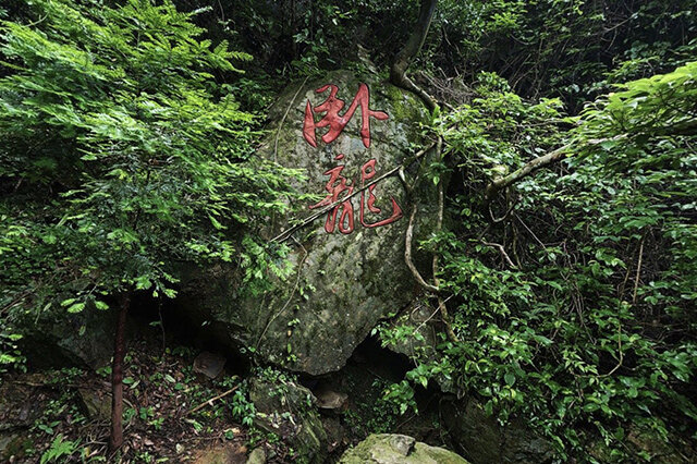 前10赣州春季踏青赏花的地方