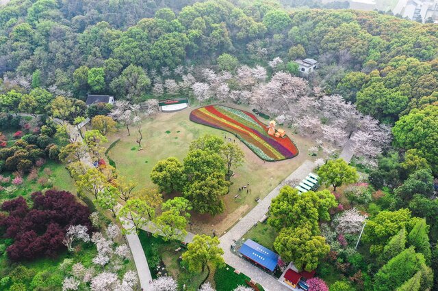 十大苏州春季踏青赏花的地方