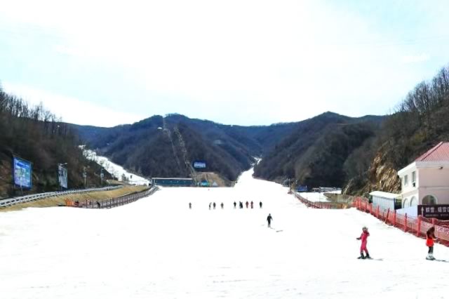 前10河南元旦去哪里旅游好