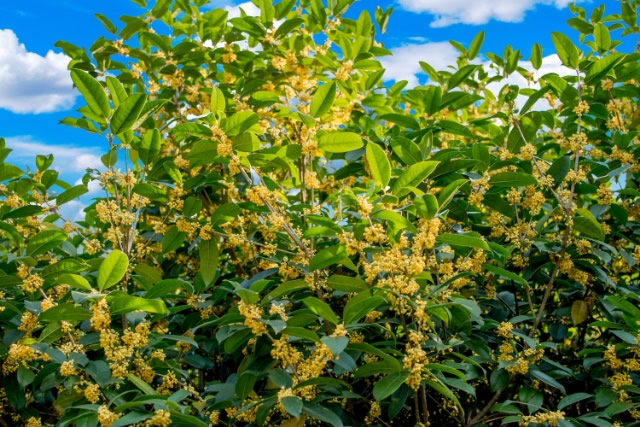 前10宁波中秋节去哪里赏月好