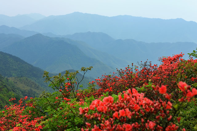 十大深圳清明旅游去哪里好