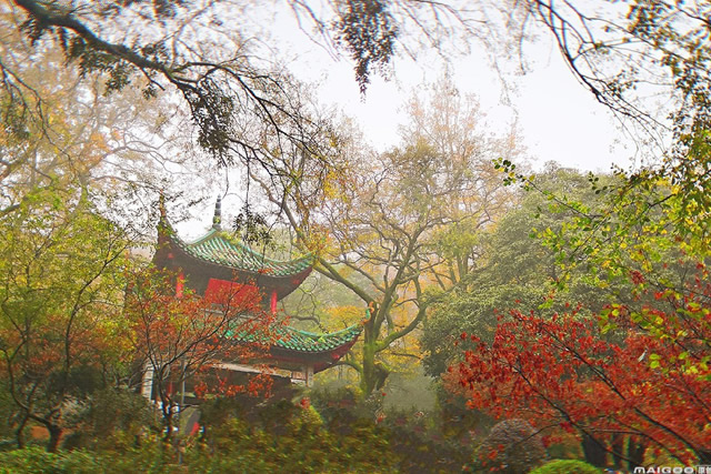 十大长沙最美赏枫景点