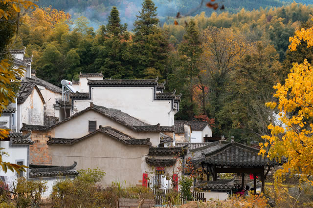 人气榜单前十黄山市秋天最美的地方