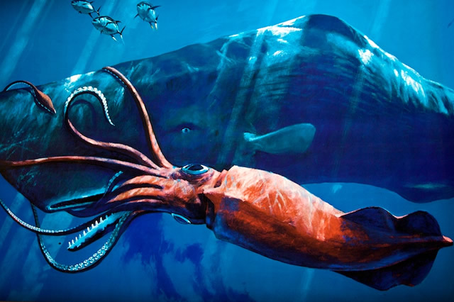 世界十大神秘的海洋動物 大王烏賊排第一,櫛水母上榜